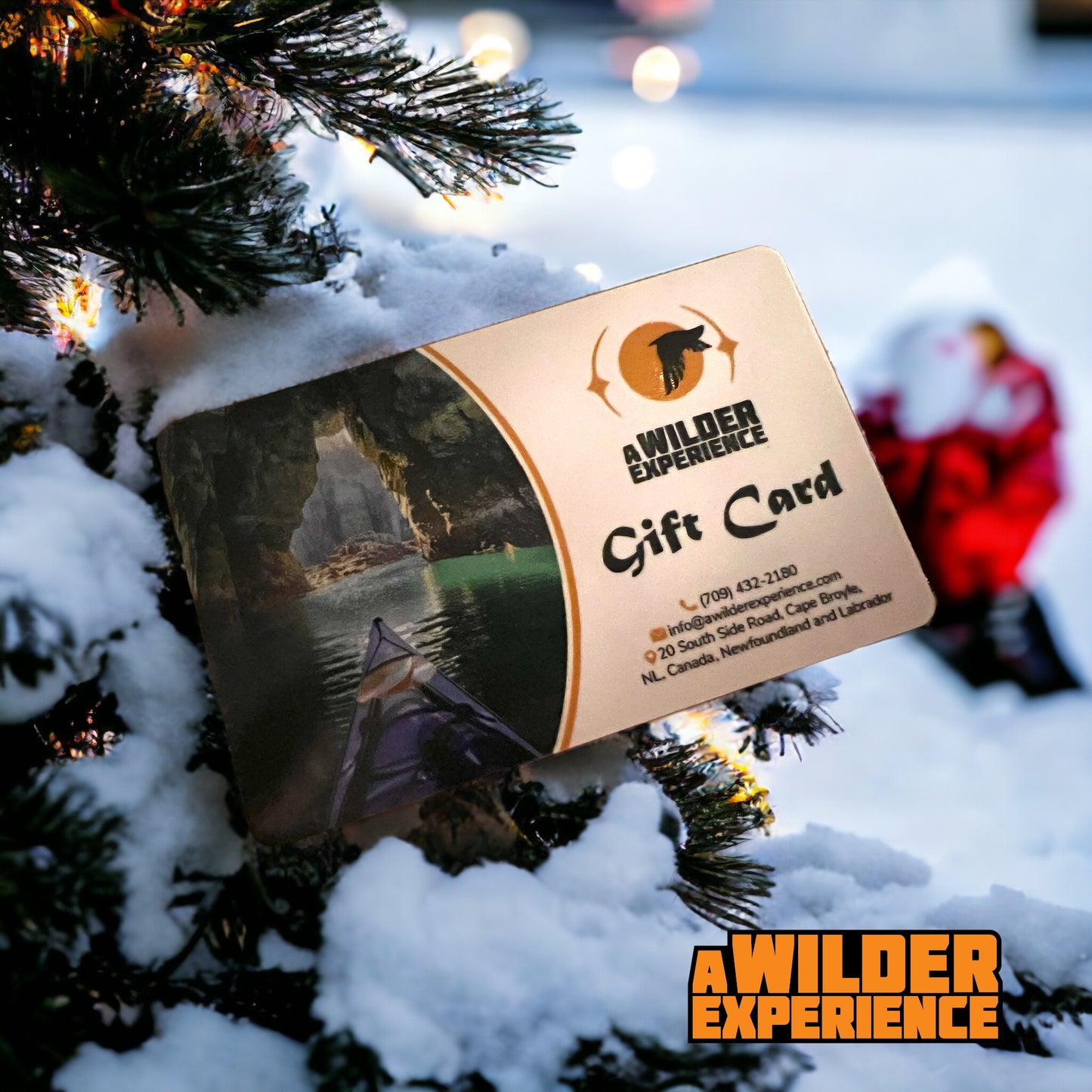 A Wilder Experience Gift Card