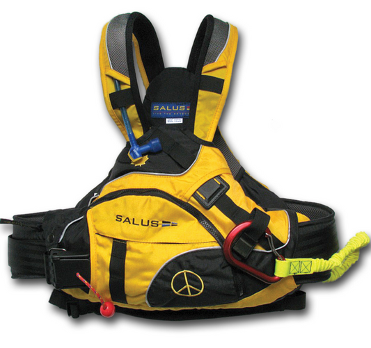 Salus Proto PFD