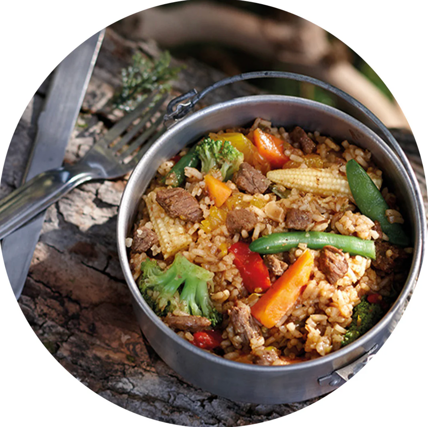 Mandarin Beef and Rice