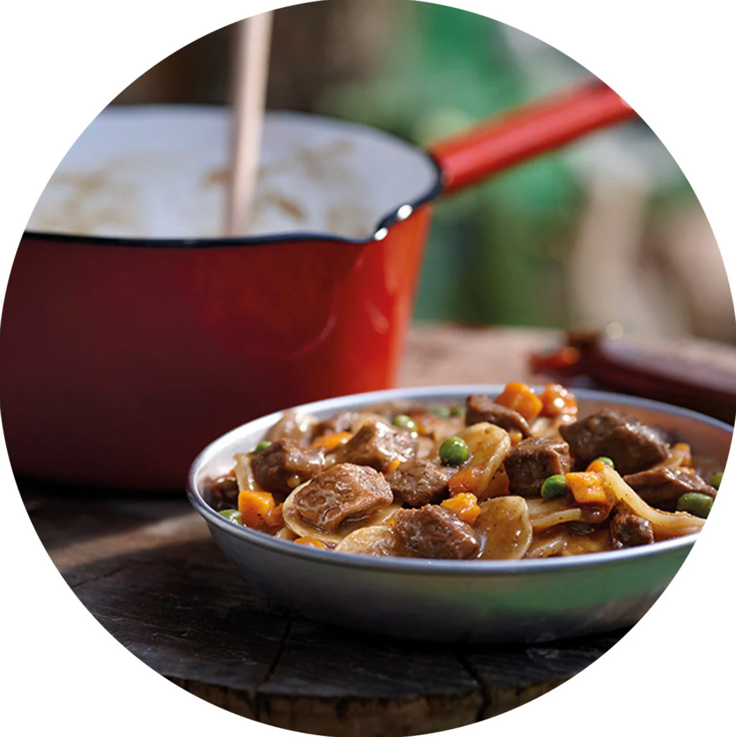 Beef Stew with Vegetables and Potatos