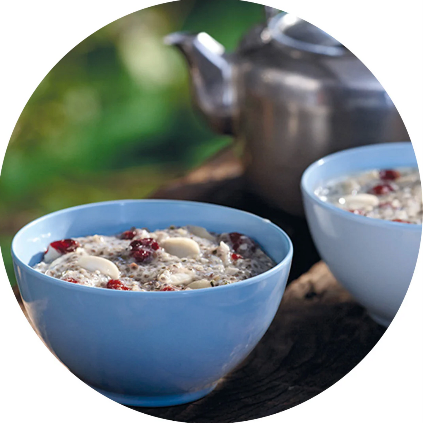 Chia delight with almonds and cranberries
