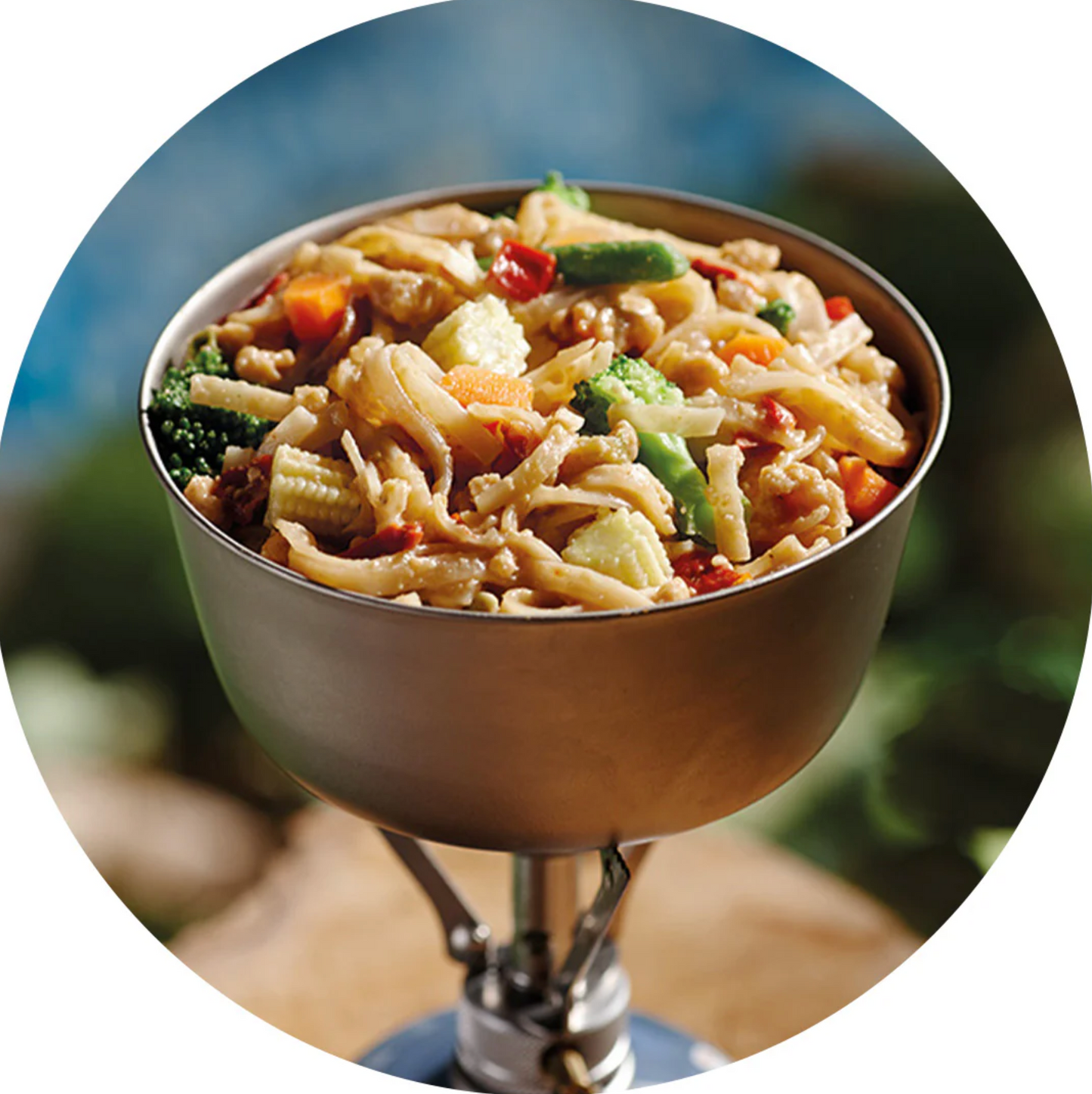 Pad Thai - Veg and Peanut