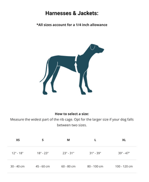 Traverse K-9 Day Pack